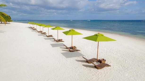 Une plage bordée de rangées de chaises longues et d’ombrelles vertes, un ciel dégagé et une mer calme.