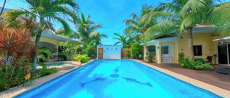 Outdoor pool, open 8:00 AM to 11:00 PM, pool umbrellas, sun loungers