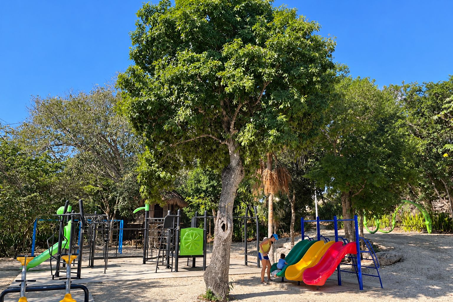 Un parque infantil con diversas estructuras de juego, incluyendo toboganes y juegos de escalar, rodeado de árboles.