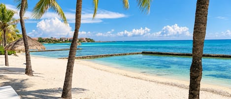 A beach with clear turquoise water, palm trees, and a sandy shore.