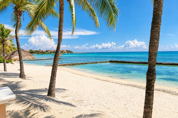 A beach with clear turquoise water, palm trees, and a sandy shore. - High-End Waterfront Condo Secrets Waters (Puerto Aventuras)