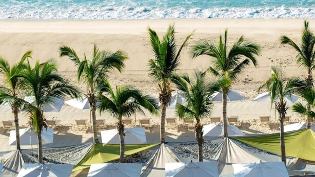 Een strand met witte parasols en palmbomen.