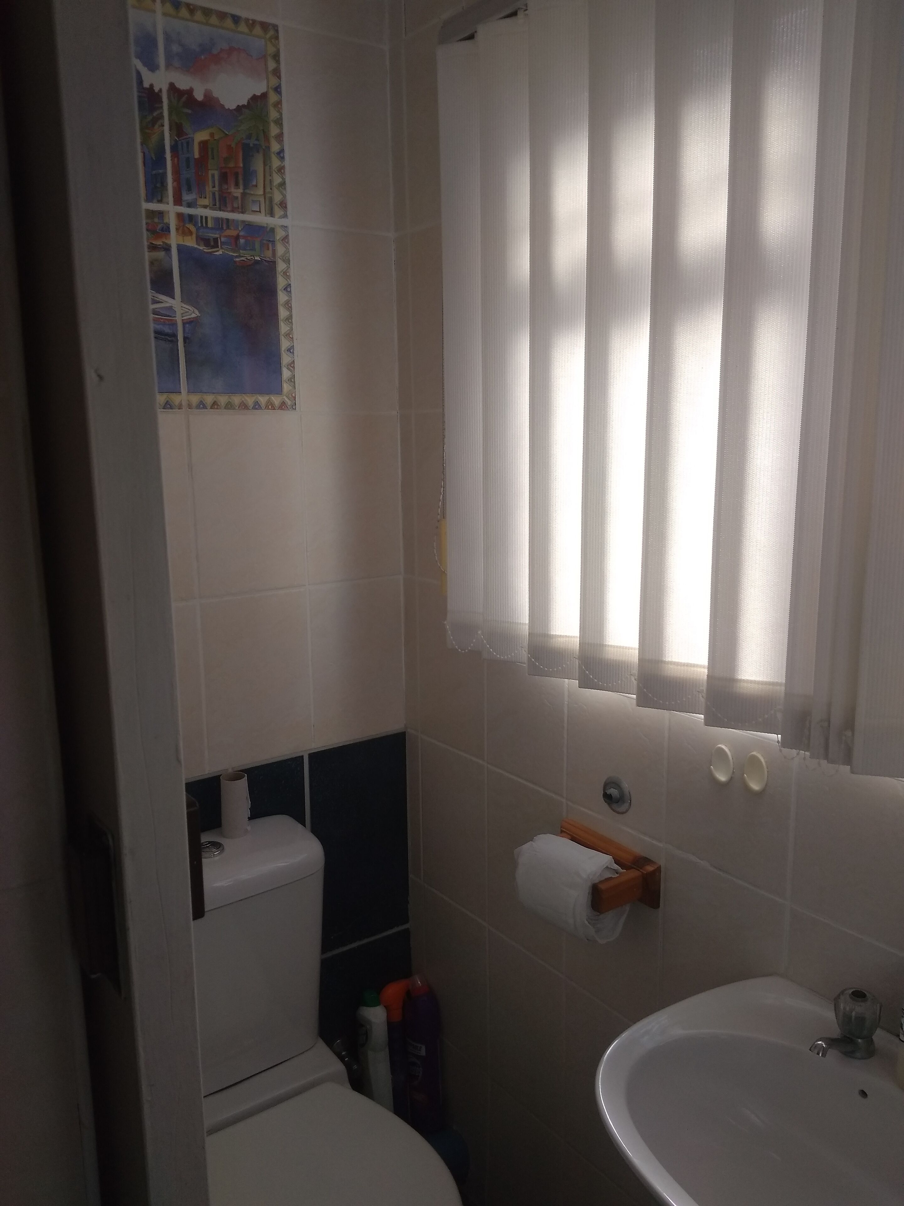 シャワー、ヘアドライヤー、タオル、石鹸