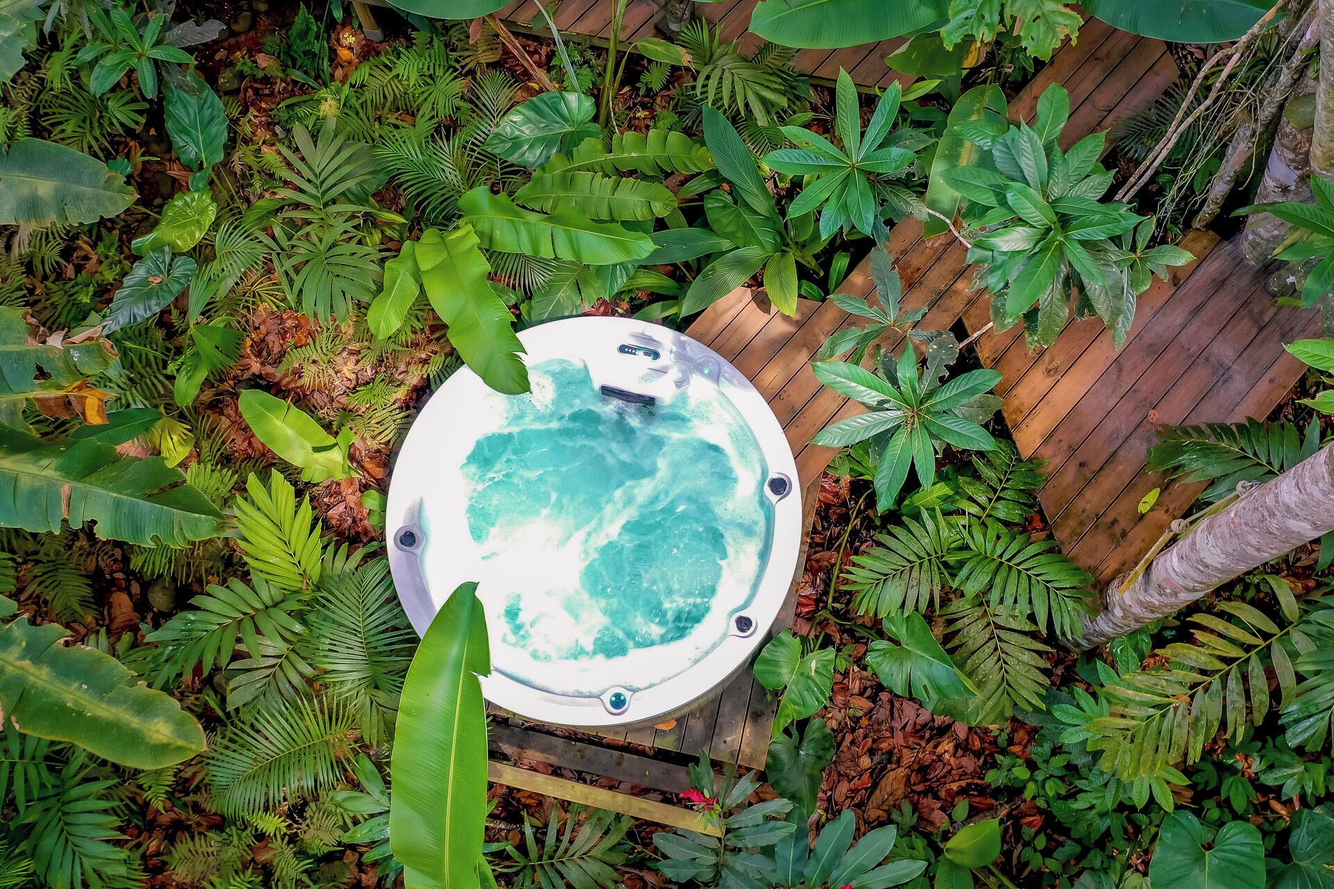 Ein Whirlpool, umgeben von üppiger tropischer Vegetation.