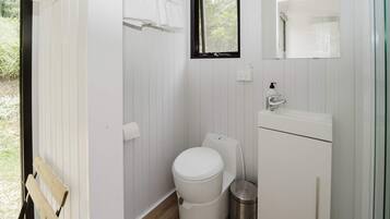 Shower, hair dryer, towels, shampoo