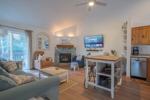 TV, fireplace, video games, video library