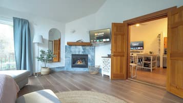 Televisie, een open haard, videospelletjes en een filmbibliotheek