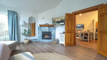 TV, fireplace, video games, video library