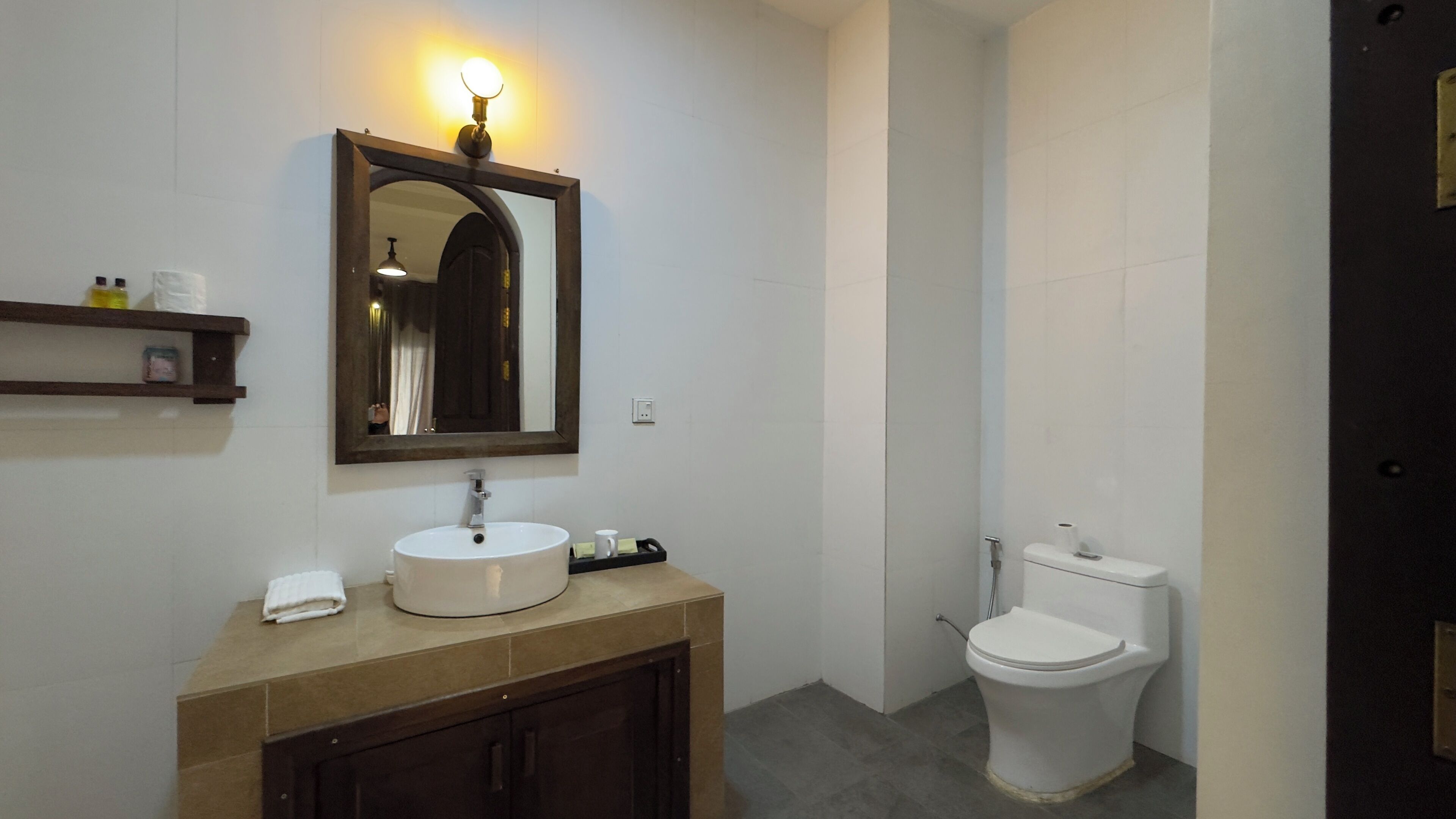 A bathroom with a white sink, a mirror, a toilet, and a shelf with toiletries.