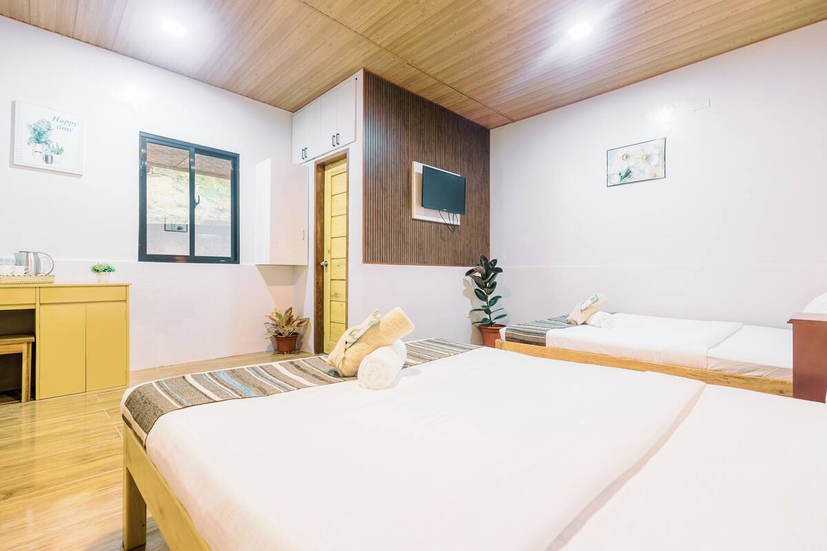 A modern hotel room with a wooden ceiling, a bed with a striped bedspread, a desk with a chair, a TV mounted on the wall, and two potted plants.
