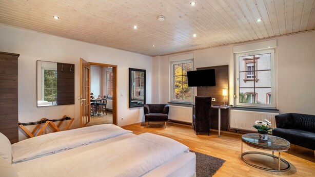 A modern room with a bed, a TV, a sofa, and a dining area.