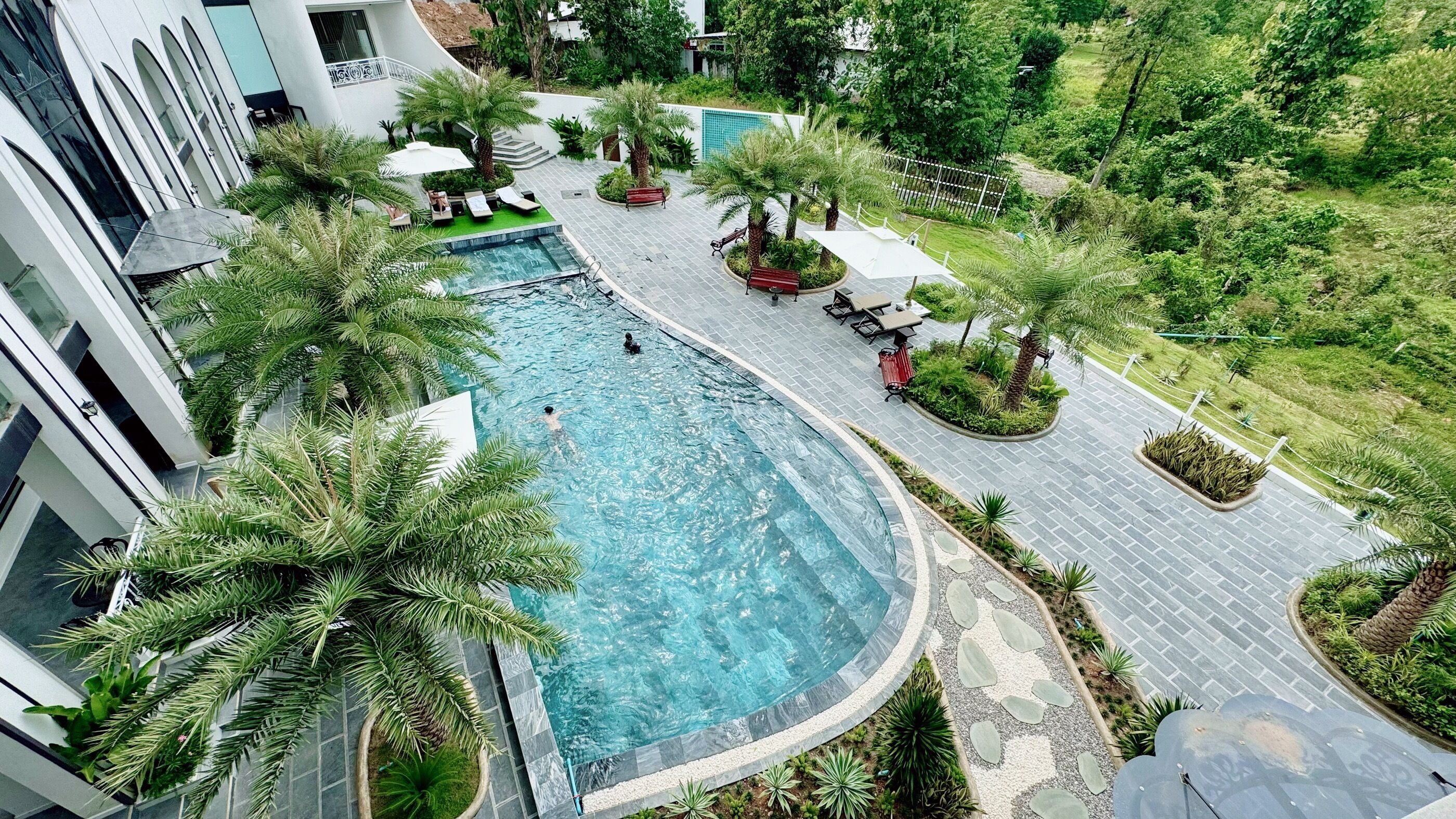 A swimming pool surrounded by palm trees and benches, with a pathway leading to a building.