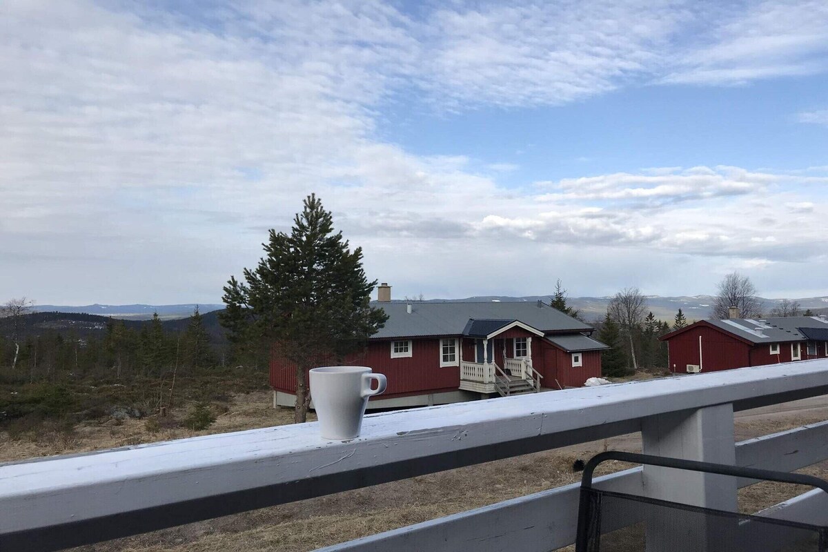 Image de profil de l’hôte