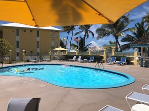 Outdoor pool, a heated pool