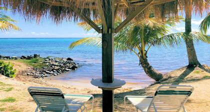 WE SHELL SEA - 2 bed / 2 bath beachfront condo- beach and pool.