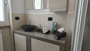 Shower, hair dryer, bidet, towels