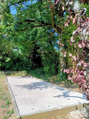 Stroll through a serene natural setting surrounded by lush greenery and dense foliage.