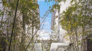 Een pad wordt omlijst door hoge bamboeplanten en weelderige begroeiing, dat leidt naar een gebouw met een modern ontwerp.