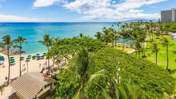 Un resort en la playa con piscina, palmeras y vistas al océano.