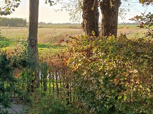 Comfortable vacation home on a small park in Burgerbrug.