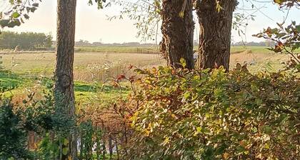 Comfortable vacation home on a small park in Burgerbrug.