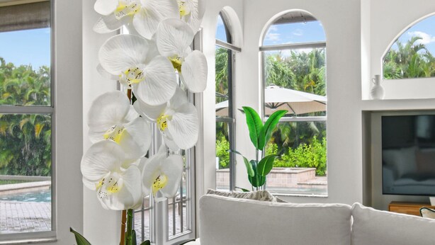 Un salon moderne avec une plante orchidée blanche, un canapé et une table basse sur laquelle se trouvent une tablette et des tasses.