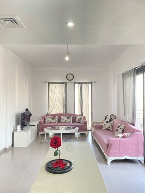 智能电视、桌上足球、乒乓球