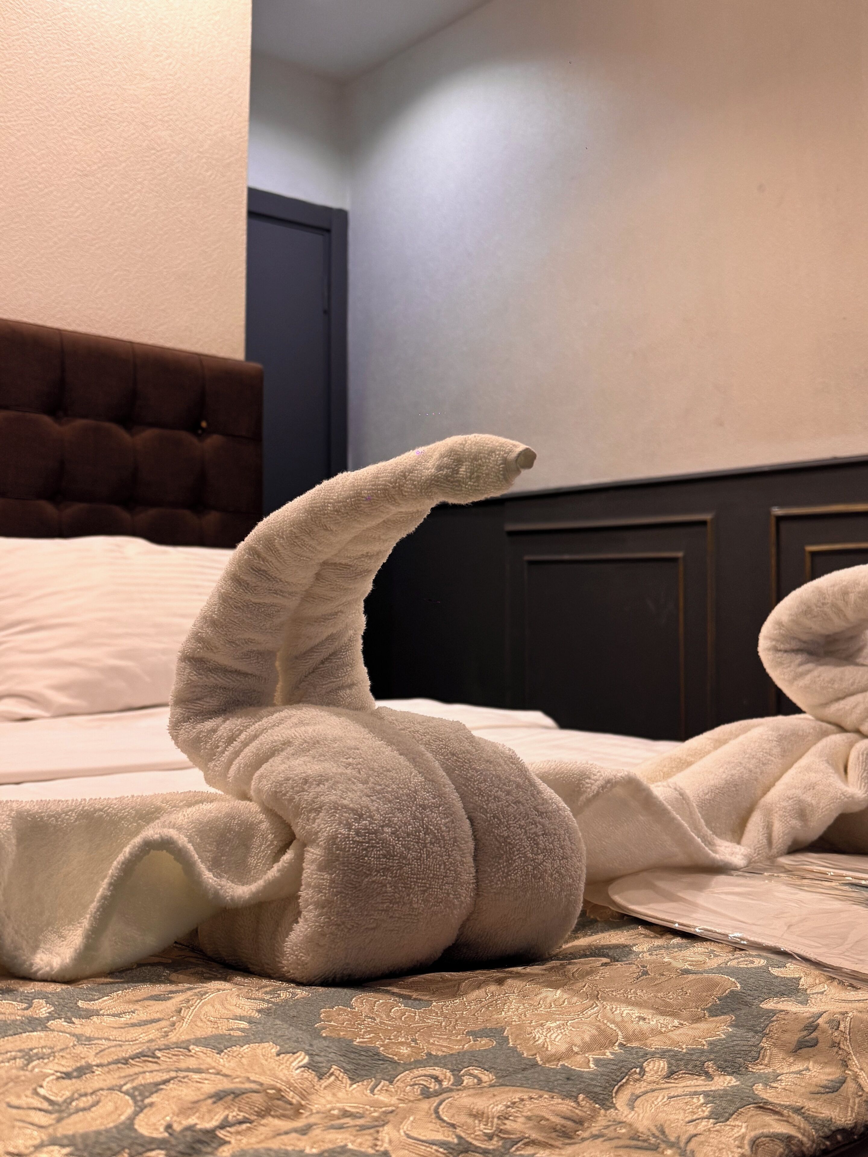 Photo - Siesta Premium Hotel