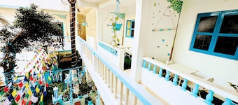 Viik wellness inn 3-Star Resort in Arambol Beach