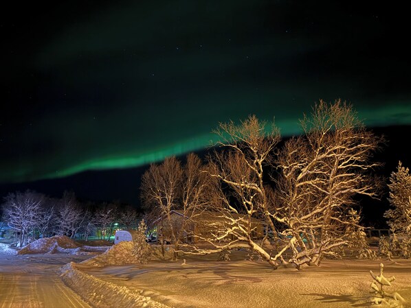 Paisagem nevada com árvores despidas e uma estrada, sob um céu noturno com a aurora boreal.