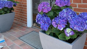 L’entrée d’un immeuble se distingue par sa façade en briques, une porte blanche et un escalier menant à l’intérieur. De grands jardinières ornées de fleurs violettes sont disposées sur le porche.