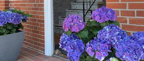 Entrada de un edificio con fachada de ladrillo, una puerta blanca y una escalera que conduce al interior. Hay macetas grandes con flores moradas en el porche.