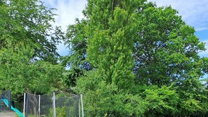 Eine Rasenfläche im Freien mit Trampolin, einem Tisch mit Stühlen und einer Spielgeräte-Anlage.