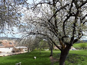 Property grounds - 5 minutes from the medieval village, classified as one of France's most beautiful villages, air-conditioned house, (Penne-d'Agenais)