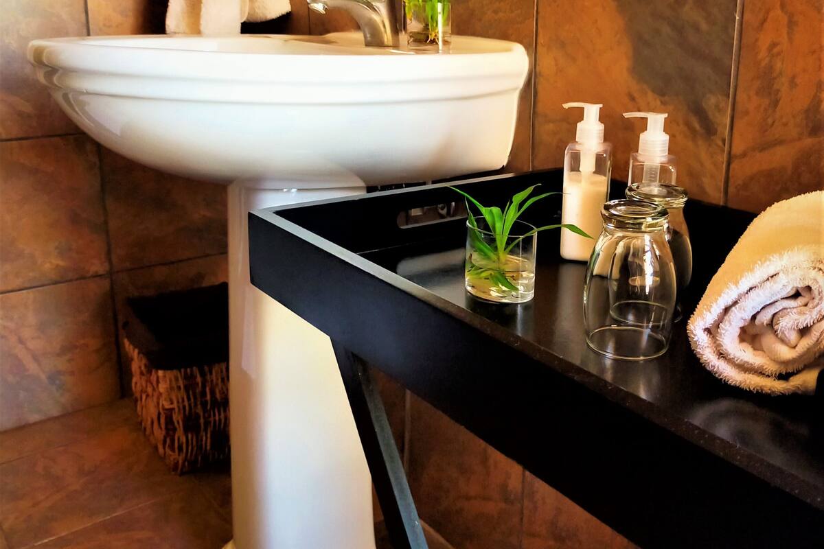 Un baño con un lavamanos blanco, un espejo, un perchero para toallas, una planta pequeña en maceta y un vaso de agua sobre una encimera negra.