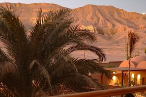 A desert landscape with palm trees and a building with arched windows.