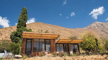 Basic Studio, Patio, Mountain View | Terrace/patio