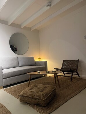 Basic Studio, Patio, Mountain View | Living area | TV - Glaciar de Roca Lofts (Paiguano)