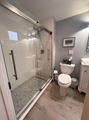 Shower, hair dryer