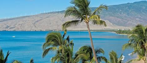 Condo, 2 Bedrooms | Beach