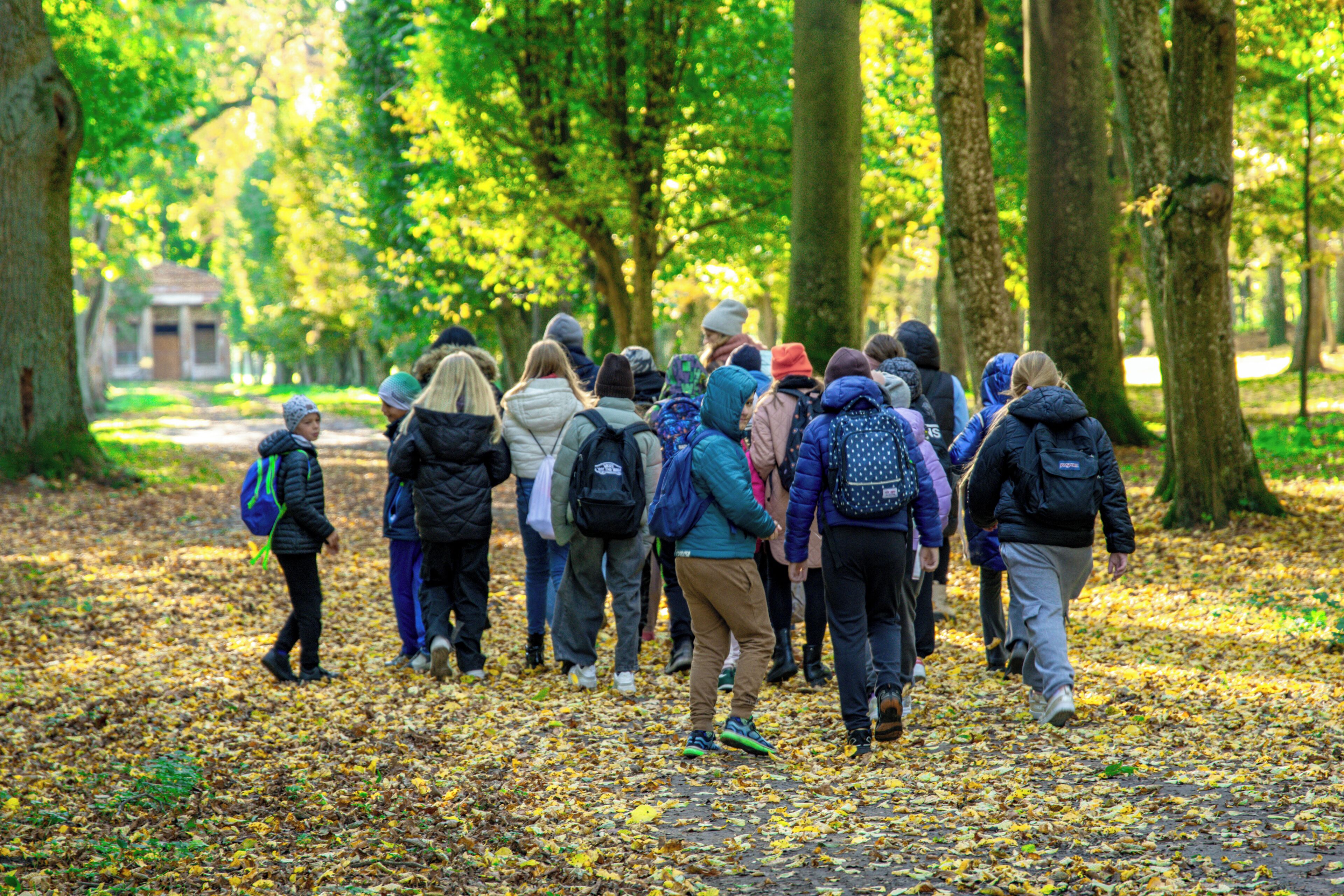 A group of people walking on a leaf-covered path in a park.