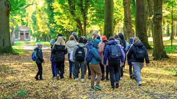 A group of people walking on a leaf-covered path in a park.