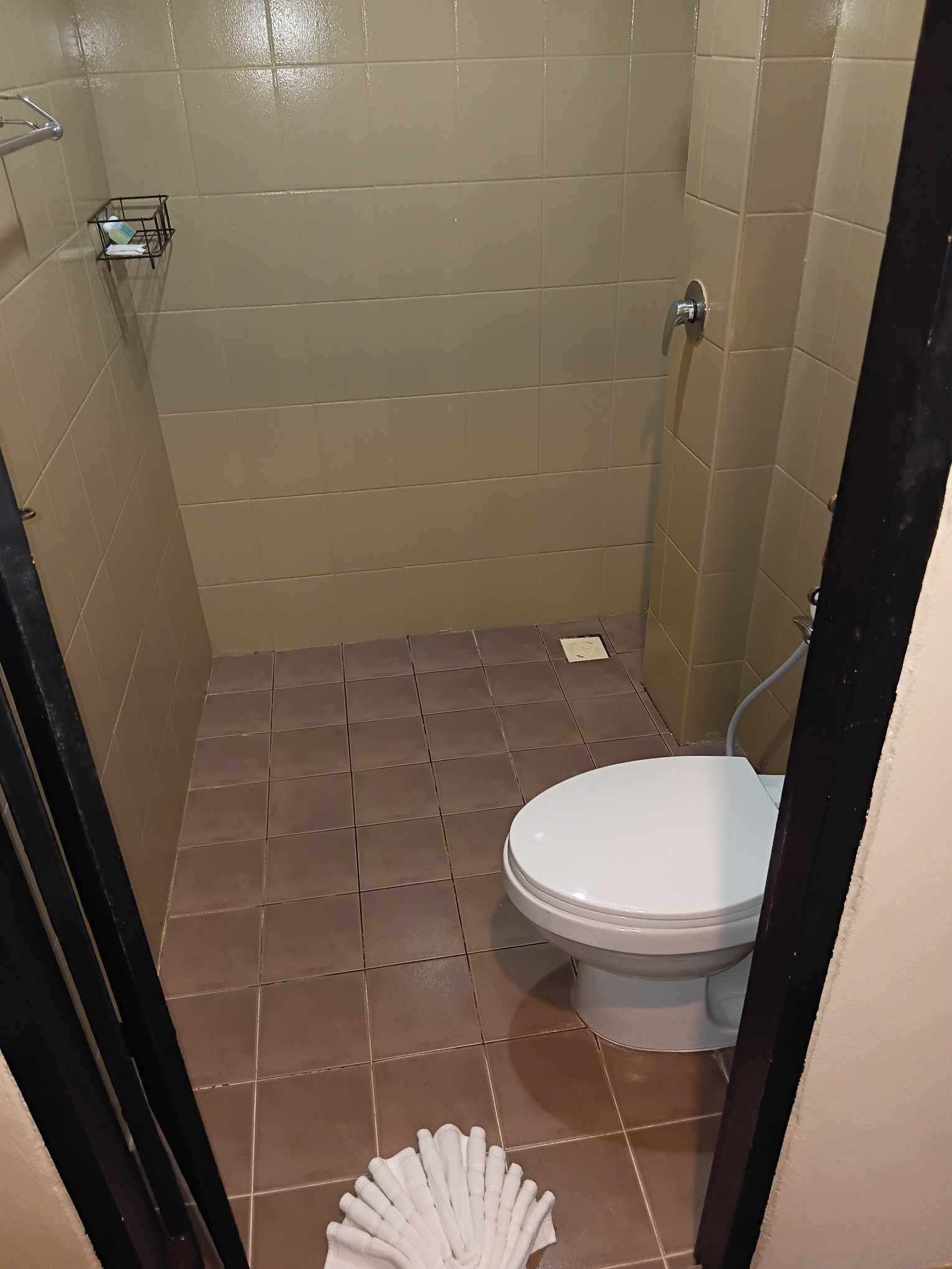 Ein kleines Badezimmer mit Fliesen, einer Toilette, einem Handtuchhalter und einer Duschkabine.