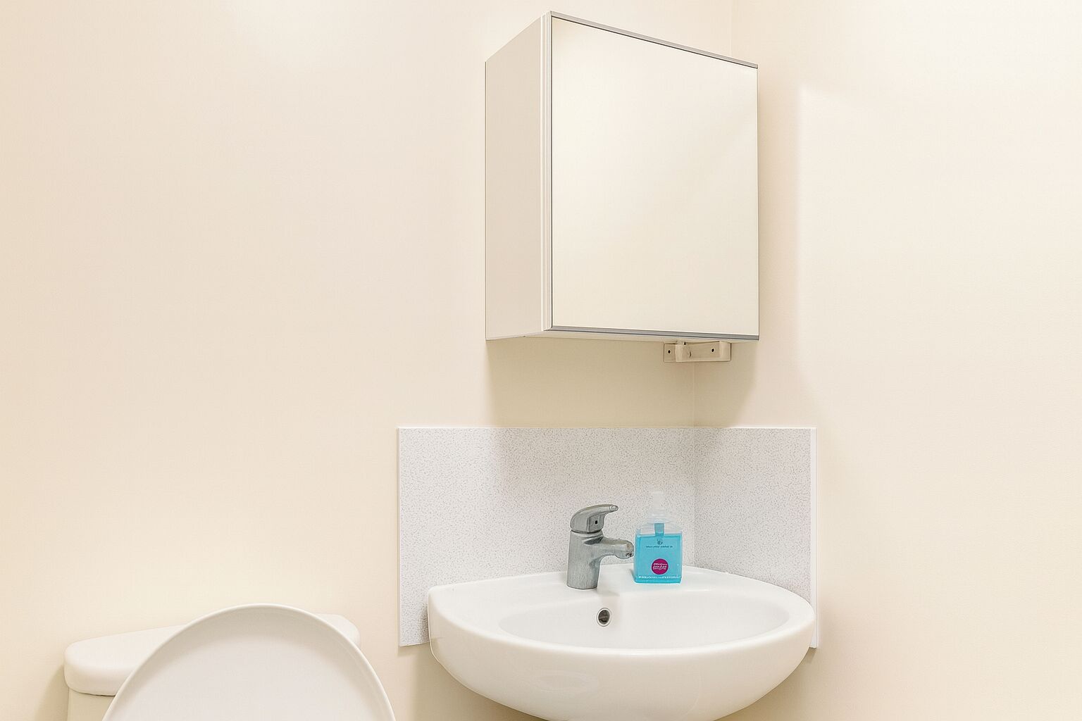 A bathroom with a white sink, a mirror above it, and a toilet to the left.