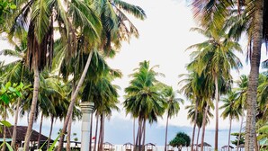 A tropical resort with palm trees, a beach, and a thatched-roof structure. - Sea Way Hotel (Nilaveli)