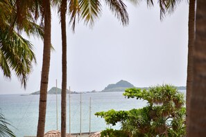 Vista de una playa con palmeras y cielo despejado.