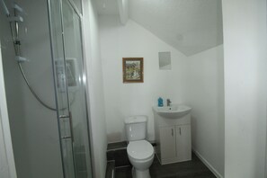 A small bathroom with a glass shower enclosure, a white toilet, a sink with a mirror, and a framed picture on the wall. - High Street House (Rotherham)