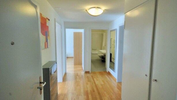 A hallway with wooden flooring, white walls, and a ceiling light fixture. - Tranquil Seafront Escape (Zürich)