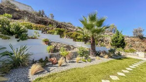A landscaped garden with a palm tree, various shrubs, and a stone pathway.