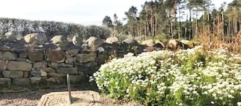 Accessible Bungalow - 4 Beds 2 Baths -dog Friendly